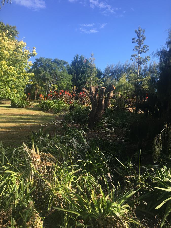 Kerikeri Garden Homestead Extérieur photo